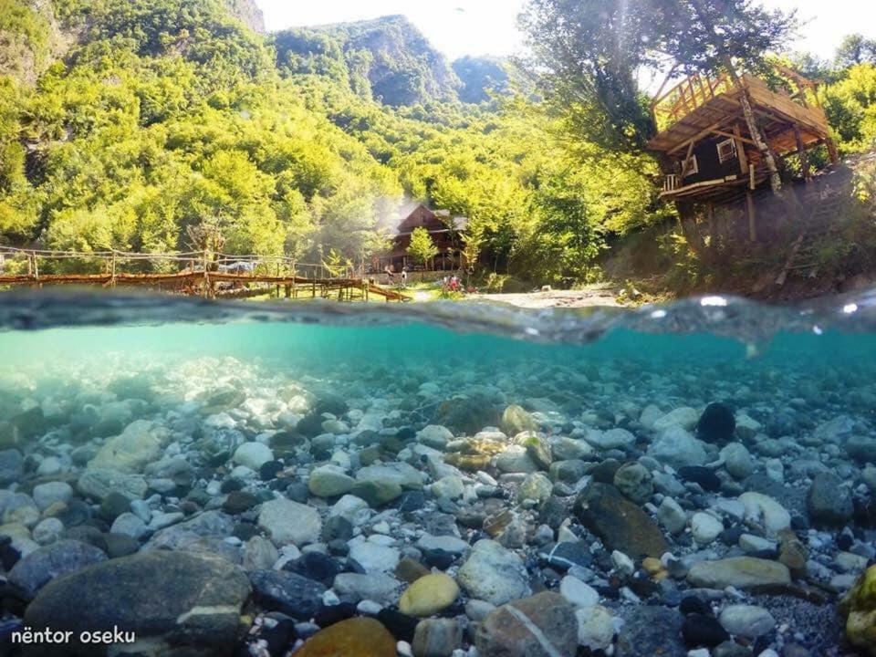Park Blini Shala River Moll' e Shoshit Ngoại thất bức ảnh